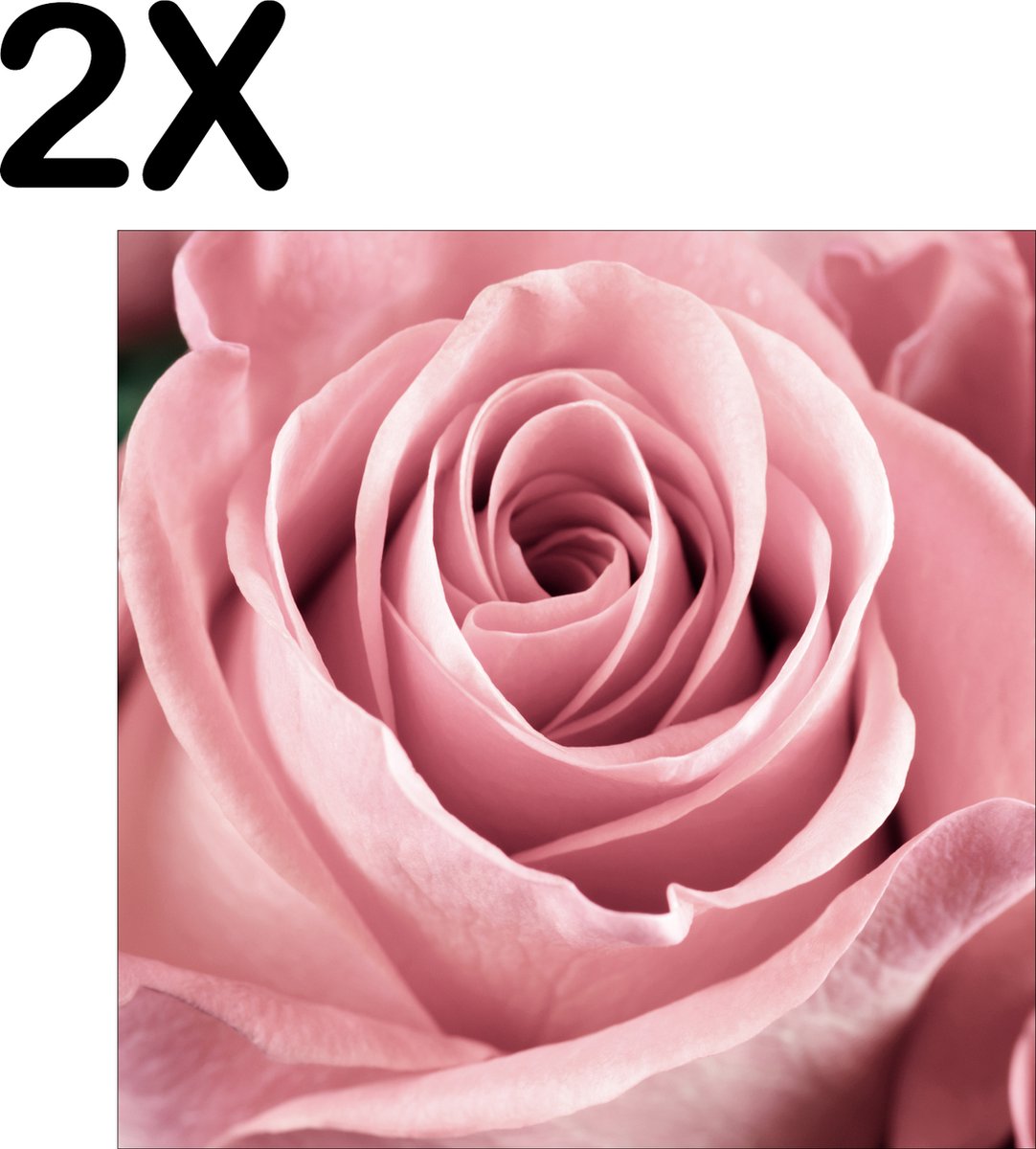 BWK Textiele Placemat - Close Up Roze Roos - Set van 2 Placemats - 50x50 cm - Polyester Stof - Afneembaar