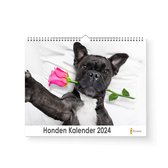 XL 2024 Kalender - Jaarkalender - Honden