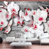 Fotobehangkoning - Behang - Vliesbehang - Fotobehang - Callous orchids - Orchideeën - Bloemen - 150 x 105 cm