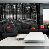 Fotobehangkoning - Behang - Vliesbehang - Fotobehang - Bos met Zonlicht - zwart-wit - 250 x 175 cm