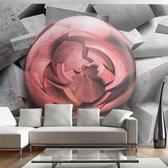 Fotobehangkoning - Behang - Vliesbehang - Fotobehang - Stone rose - 300 x 210 cm