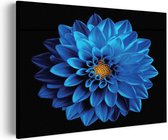Akoestisch Schilderij Blauwe Dahlia Rechthoek Horizontaal Basic M (85 X 60 CM) - Akoestisch paneel - Akoestische Panelen - Akoestische wanddecoratie - Akoestisch wandpaneel