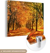 MuchoWow® Glasschilderij 120x90 cm - Schilderij acrylglas - Bos - Herfst - Seizoenen - Landelijk - Foto op glas - Schilderijen