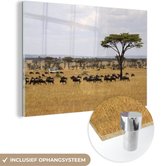 MuchoWow® Peinture sur verre 120x80 cm - Peinture sur verre acrylique - La plaine aride de la savanne tanzanienne dans le parc national de Tarangire - Photo sur verre - Peintures