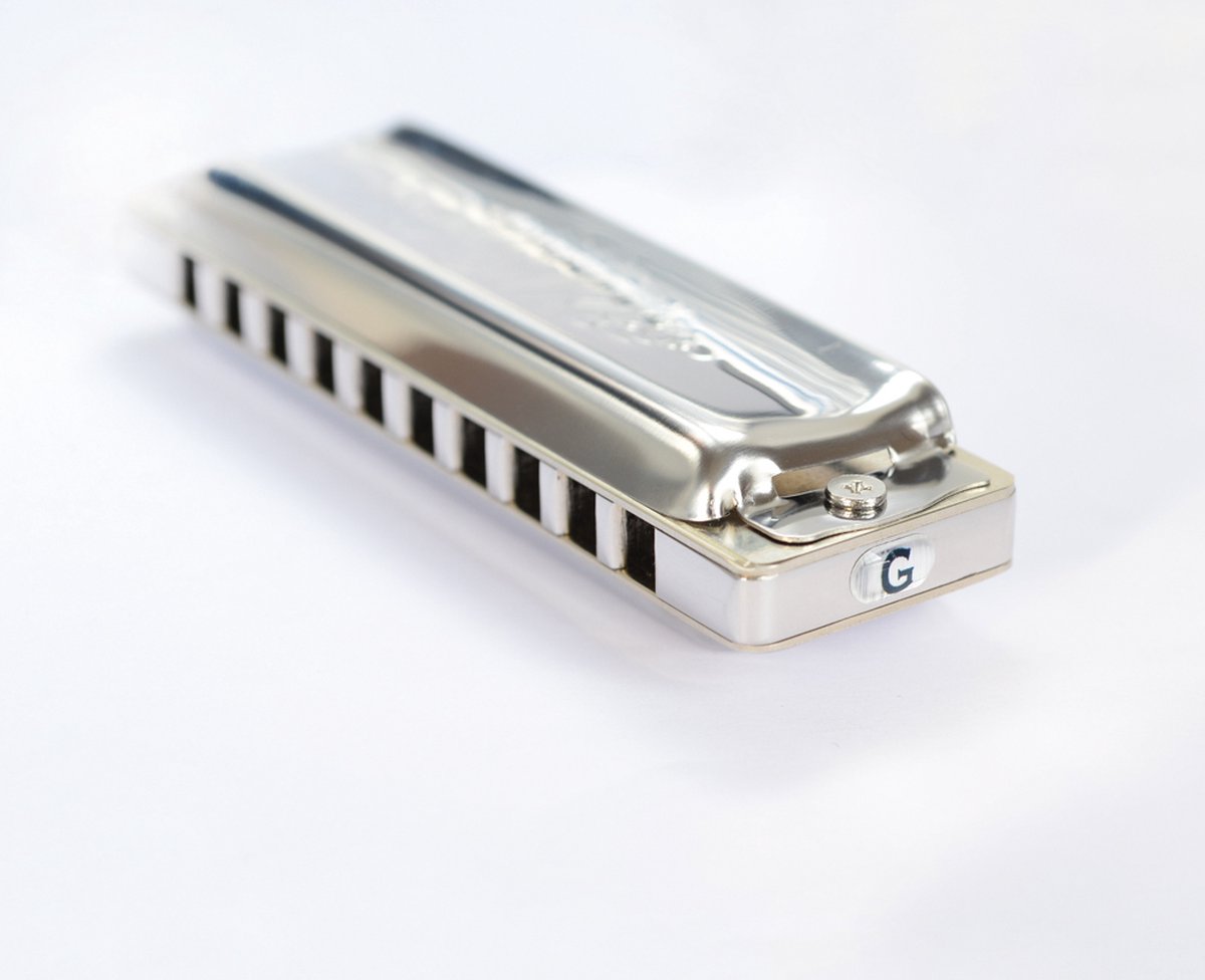 Cascha Blues Harmonica professionnel pour Adultes en tonalité A avec  chiffon de