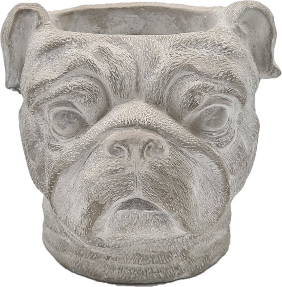 Deco4yourhome® - Pot - Bulldog - Beton - Grijs - 19cm