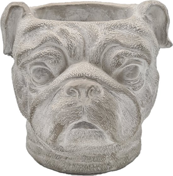 Foto: Deco4yourhome pot bulldog beton grijs 19cm