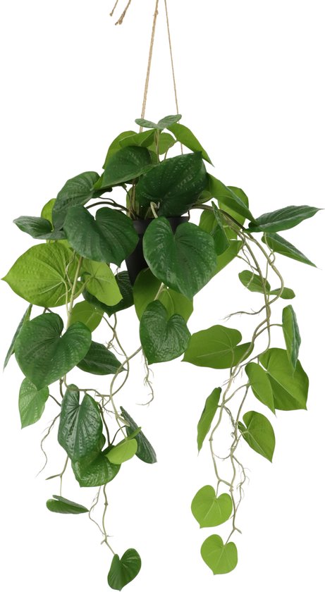 Neocheiropteres Kunst hangplant 80cm | Neppe Hangplant | Kunstplant voor binnen | Hangende kunstplant 80cm