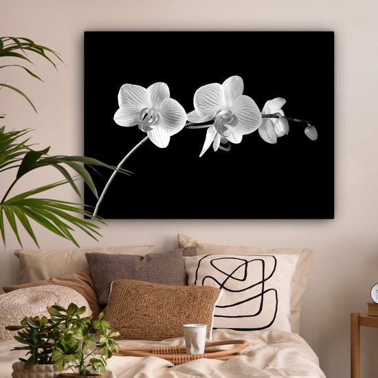 Canvas schilderij 120x90 cm - Wanddecoratie Orchidee - Bloemen - Zwart - Roze - Knoppen - Muurdecoratie woonkamer - Slaapkamer decoratie - Kamer accessoires - Schilderijen op canvas