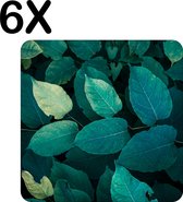 BWK Stevige Placemat - Groene Bladeren aan een Plant - Set van 6 Placemats - 40x40 cm - 1 mm dik Polystyreen - Afneembaar