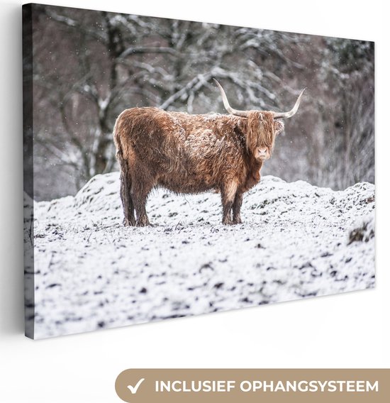 Toile Highlander écossais en forêt enneigée 2cm