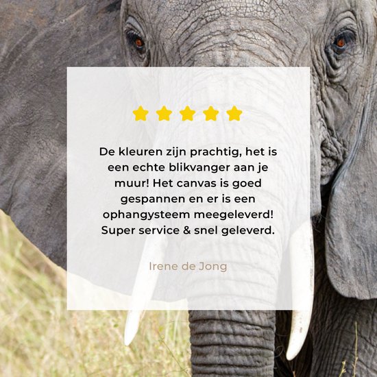 Canvas schilderij 180x120 cm - Wanddecoratie Olifant - Dieren - Gras - Natuur - Muurdecoratie woonkamer - Slaapkamer decoratie - Kamer accessoires - Schilderijen op canvas