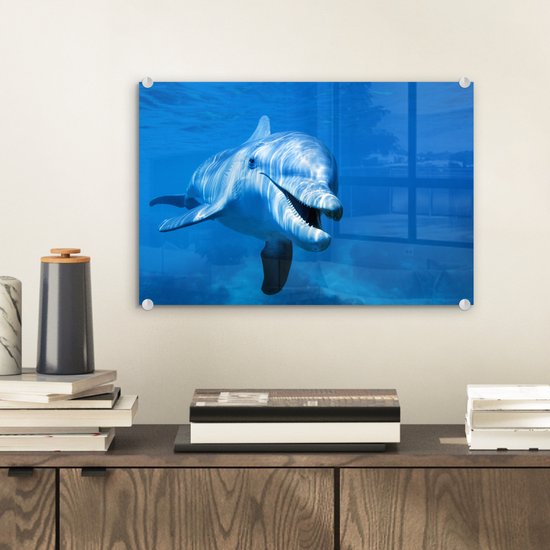 Peinture sur Verre - Dauphin - Water - Mer - 30x20 cm - Peintures sur Verre Peintures - Photo sur Glas