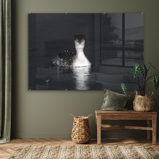® Glasschilderij 180x120 cm - Schilderij acrylglas - Een zwart-wit afbeelding van een Kuifduiker - Foto op glas - Muurdecoratie woonkamer - Wanddecoratie slaapkamer - Schilderijen