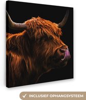 Canvas Schilderij Schotse Hooglander - Tong - Neus - 20x20 cm - Wanddecoratie