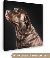 Canvas Schilderij Hond - Bruin - Portret - 90x90 cm - Wanddecoratie