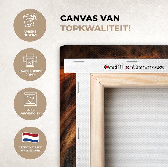 Peinture sur toile Highlander écossais - Lumière - Animal - 20x40 cm - Décoration murale