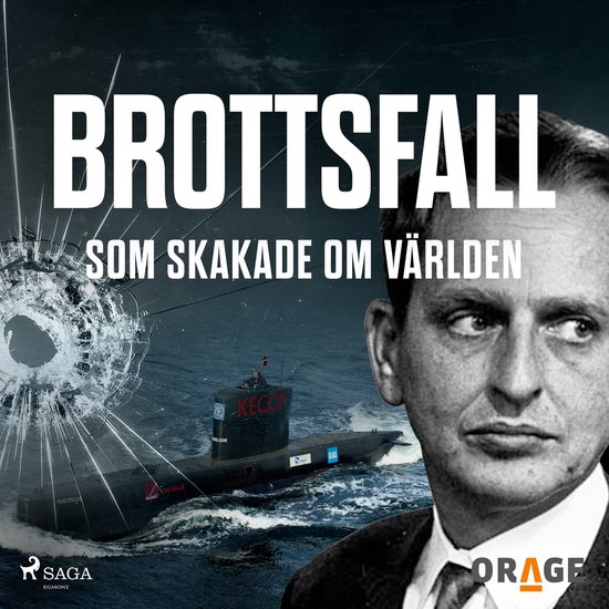 Brottsfall som skakade om världen - cover