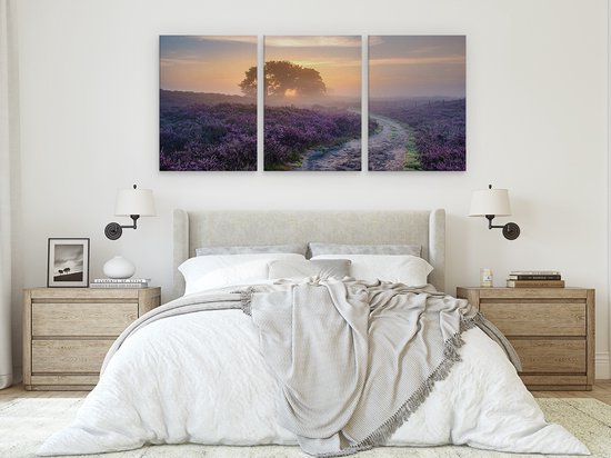 Artaza Tableau Triptyque Chemin dans la Prairie de la Veluwe - 180x80 - Groot - Photo sur Toile - Impression sur Toile
