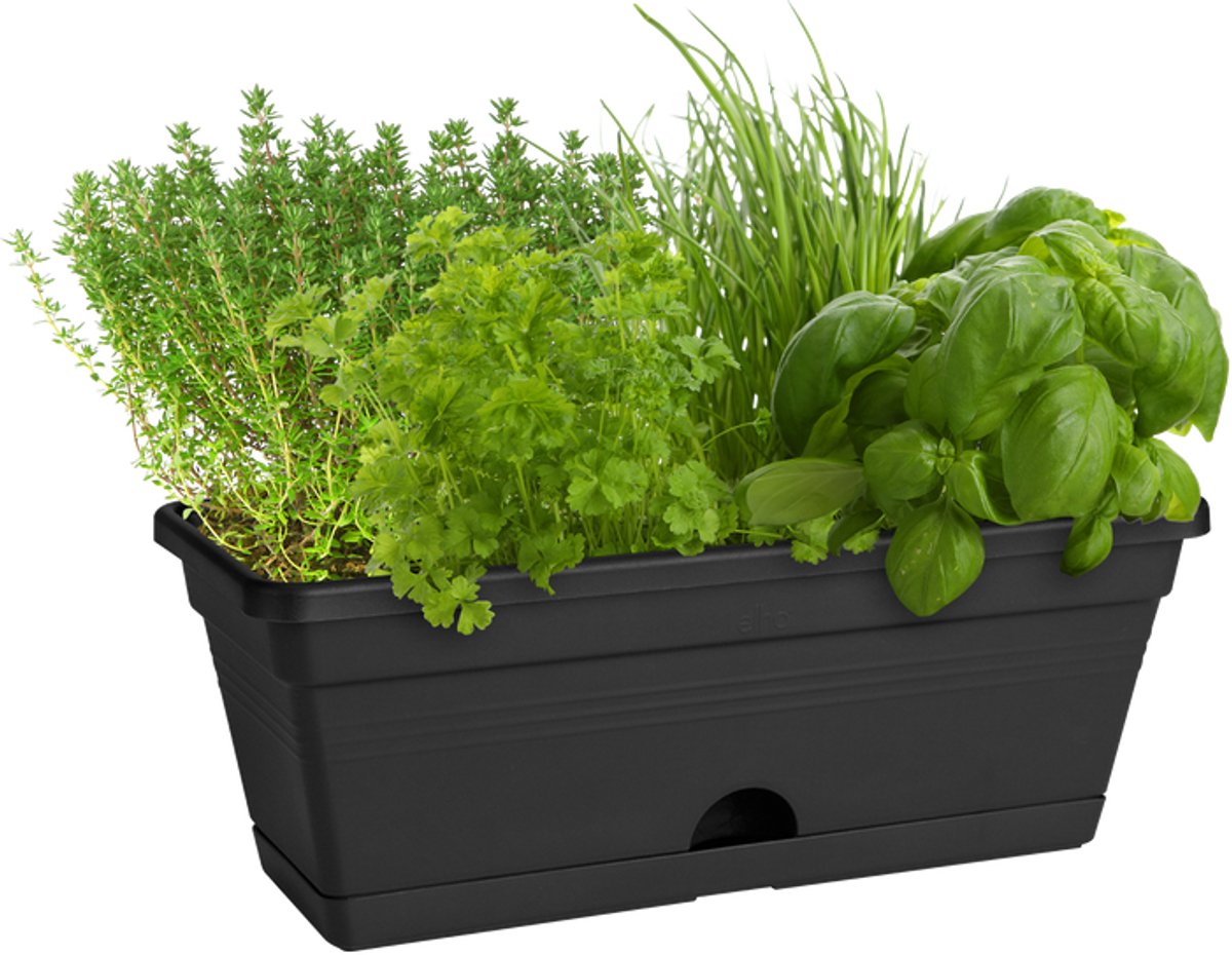 Elho Green Basics Balcony Planter Mini 30