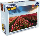 Puzzel Kleurrijke tulpen in Nederlands landschap - Legpuzzel - Puzzel 1000 stukjes volwassenen