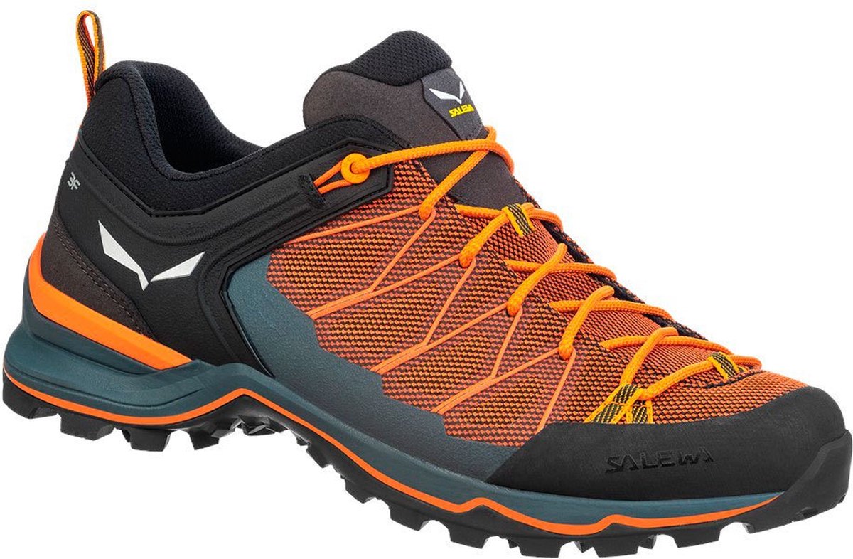 Salewa Mtn Trainer Lite Wandelschoenen Man Blauw