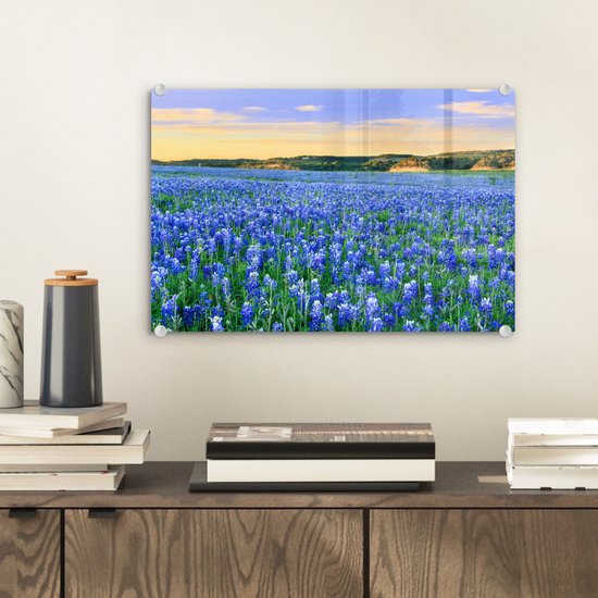 MuchoWow® Peinture sur verre 30x20 cm - Peinture sur verre acrylique - Champ avec fleurs de Texas Bluebonnet au coucher du soleil - Photo sur verre - Peintures
