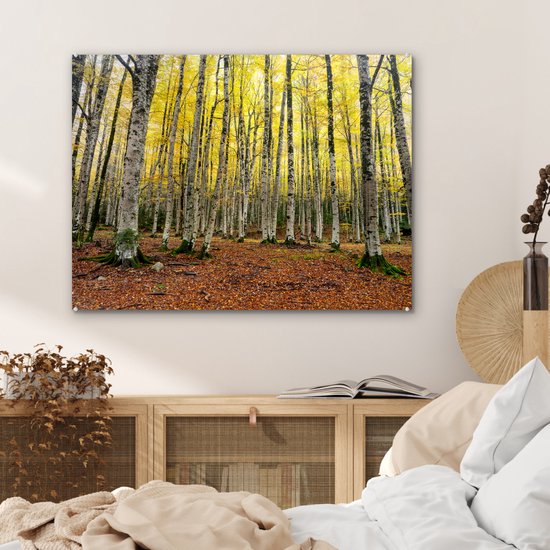 Feuilles jaunes dans la forêt en automne Glas 90x60 cm - Tirage photo sur Glas (Décoration murale en plexiglas)