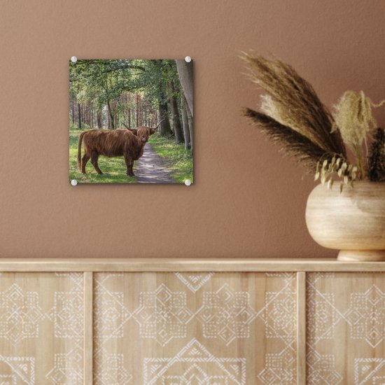 MuchoWow® Peinture sur verre 20x20 cm - Peinture sur verre acrylique - Forêt - Highland écossais - Lumière - Photo sur verre - Peintures