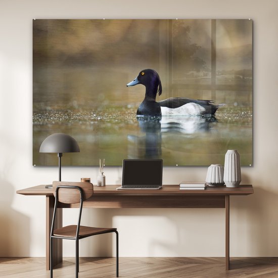 MuchoWow® Peinture sur verre 180x120 cm - Peinture sur verre - Canard tufté - Water - Vogel - Photo sur verre acrylique - Peintures