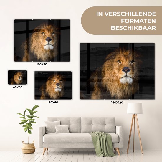 MuchoWow® Peinture sur verre - Lion - Lumière - Zwart - Portrait - 80x60 cm - Peintures sur verre acrylique - Photo sur Glas