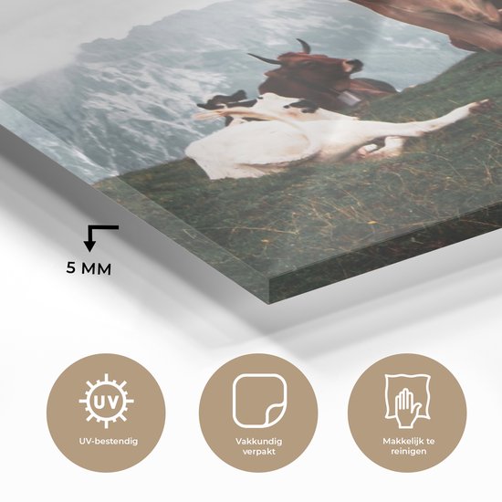 MuchoWow® Peinture sur verre 120x90 cm - Peinture sur verre acrylique - Animaux - Vache - Berg - Photo sur verre - Peintures