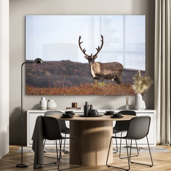 MuchoWow® Peinture sur verre 150x100 cm - Peinture sur verre acrylique - Renne solitaire dans un champ - Photo sur verre - Peintures