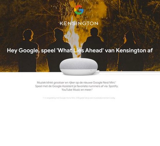 Google Nest Mini - Smart Speaker / Grijs / Nederlandstalig - Google Nest