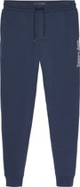 Tommy Hilfiger Reg Lineaire Blauwe Broek - Streetwear - Volwassen