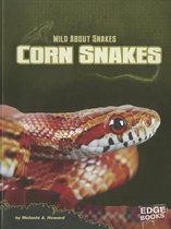 Corn Snakes