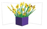 Flower Vases: Daffodils (6 Ex - 4,25 Per Stuk)