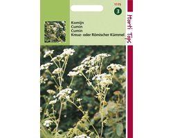 Hortitops Zaden - Komijn