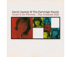 Could It Be Forever - The Greatest Hits