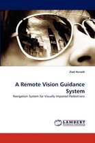 A Remote Vision Guidance System