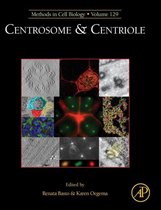 Centrosome & Centriole