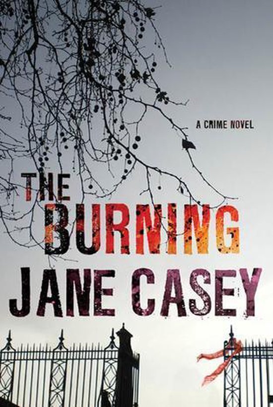 Maeve Kerrigan Novels 1 - The Burning - cover