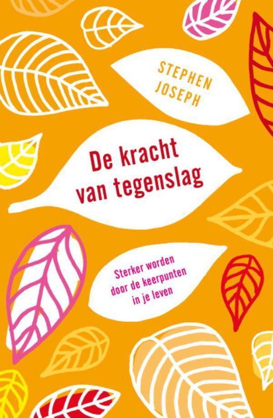 Cover van het boek 'De kracht van tegenslag'