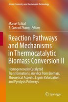 Green Chemistry and Sustainable Technology - Reaction Pathways and Mechanisms in Thermocatalytic Biomass Conversion II