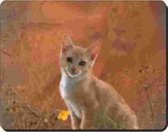 Tapis de souris Spirit Cat Rosse Kitten + Lion