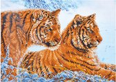 Diamond Dotz Tigres dans la neige (71x51 cm) - Peinture au diamant