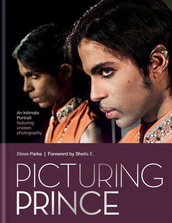 Picturing Prince - cover