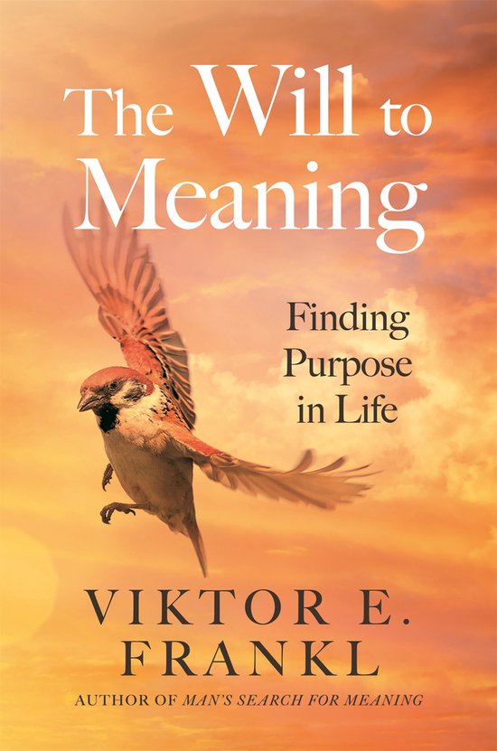 The Will to Meaning - cover