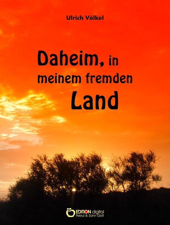 Daheim, in meinem fremden Land - cover