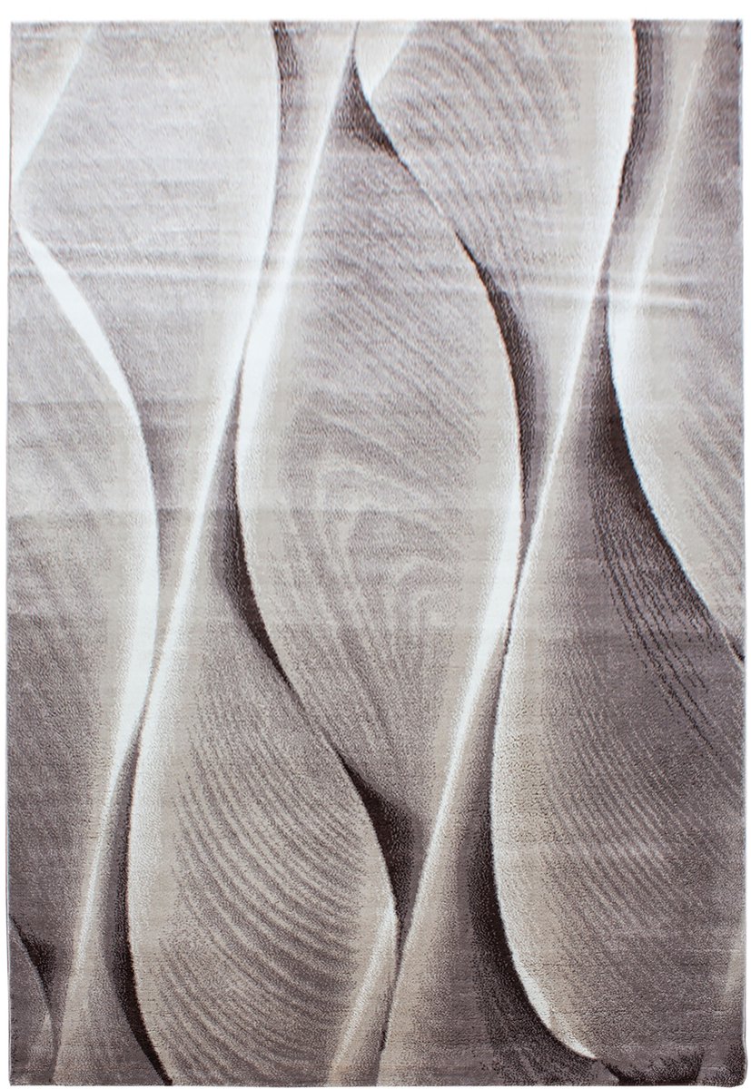 Modern Vloerkleed | Tapijt | Parma | Abstract | Bruin | 240x340 cm